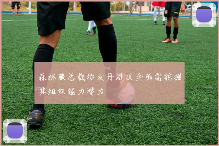 森林狼总裁称麦丹进攻全面需挖掘其组织能力潜力