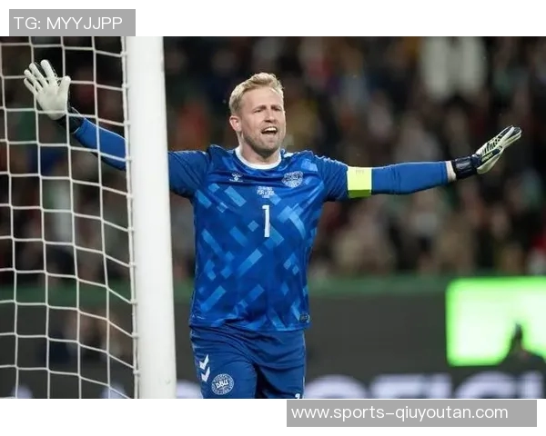 舒梅切尔：对拉门斯的评价需谨慎不宜施加过多压力